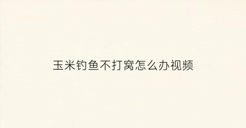 玉米钓鱼不打窝怎么办视频(玉米钓鱼不打窝怎么办视频讲解)