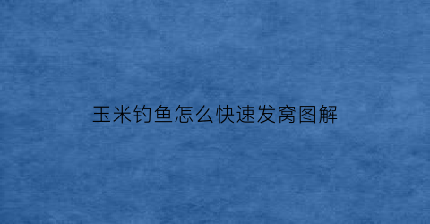 玉米钓鱼怎么快速发窝图解(用玉米钓鱼怎么打窝)