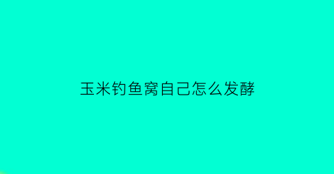 “玉米钓鱼窝自己怎么发酵(玉米制作钓鱼窝料)