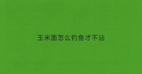 玉米面怎么钓鱼才不沾(玉米面怎么钓鱼才不沾鱼)