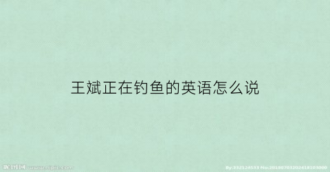 王斌正在钓鱼的英语怎么说(正在钓鱼用英语怎么说)