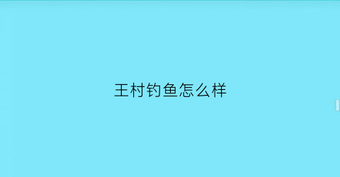 王村钓鱼怎么样(王村钓鱼场)
