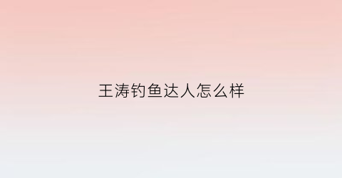 王涛钓鱼达人怎么样