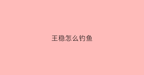 王稳怎么钓鱼(王稳钓鱼比赛)