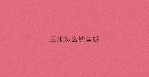 王米怎么钓鱼好(王米能钓什么鱼)
