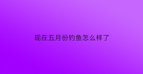 现在五月份钓鱼怎么样了(现在五月份钓鱼怎么样了呀)