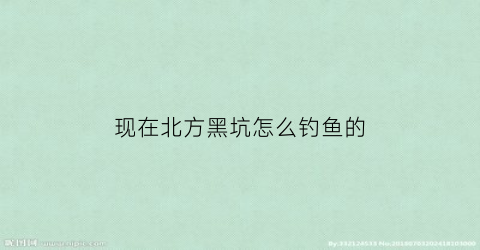 现在北方黑坑怎么钓鱼的(北方黑坑什么饵料好用)