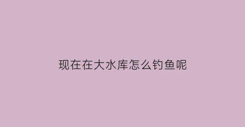 现在在大水库怎么钓鱼呢(在大水库怎么钓大鱼)