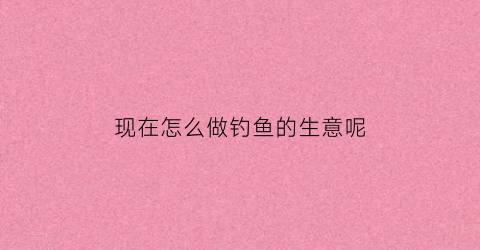 现在怎么做钓鱼的生意呢(钓鱼怎么盈利)