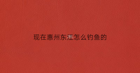 “现在惠州东江怎么钓鱼的(2021惠州东江可以钓鱼)