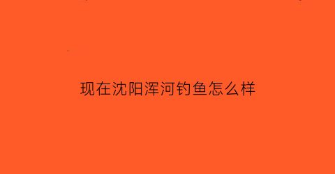 “现在沈阳浑河钓鱼怎么样(现在沈阳浑河钓鱼怎么样了)