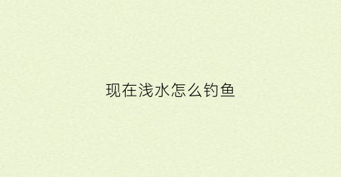 现在浅水怎么钓鱼(浅水钓法)