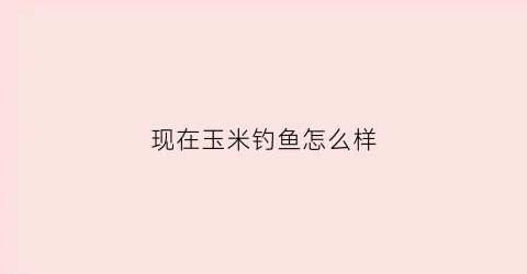 现在玉米钓鱼怎么样(现在玉米钓鱼怎么样好钓吗)