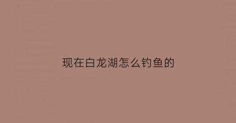 现在白龙湖怎么钓鱼的