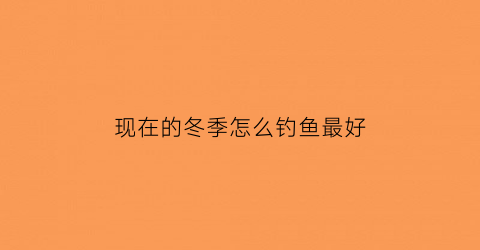 “现在的冬季怎么钓鱼最好(现在的冬季怎么钓鱼最好呢视频)