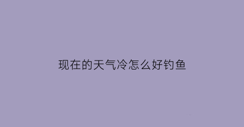 “现在的天气冷怎么好钓鱼(天气冷要怎么样才能钓到鱼)