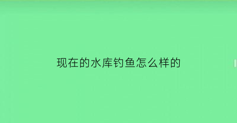 现在的水库钓鱼怎么样的