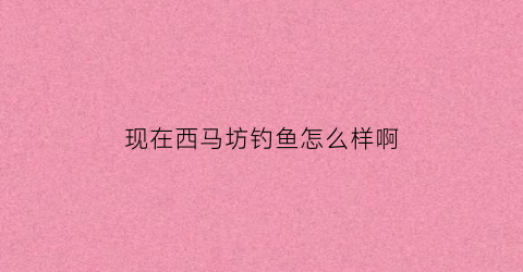 现在西马坊钓鱼怎么样啊(现在西马坊钓鱼怎么样啊多少钱)