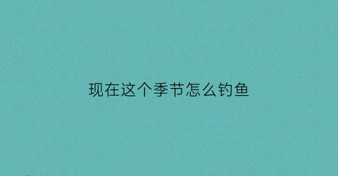 现在这个季节怎么钓鱼(这个季节怎么钓鱼好呢)