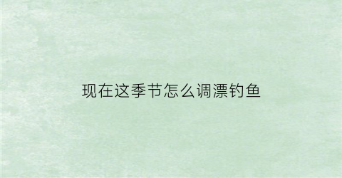 现在这季节怎么调漂钓鱼(现在的季节钓鱼用什么饵料好)
