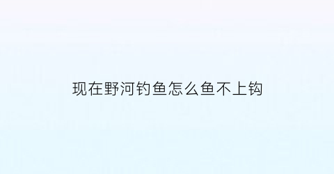 现在野河钓鱼怎么鱼不上钩(河里钓鱼钓不到)