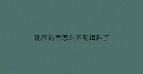 “现在钓鱼怎么不吃饵料了(现在钓鱼怎么不吃饵料了呢)