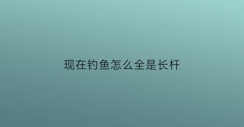 现在钓鱼怎么全是长杆