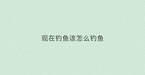 现在钓鱼该怎么钓鱼