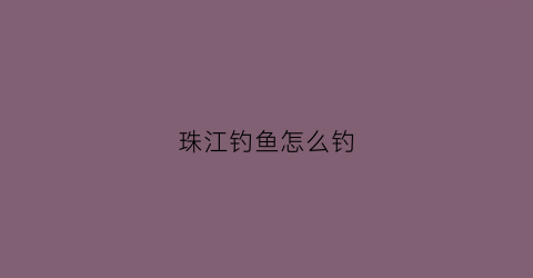 珠江钓鱼怎么钓