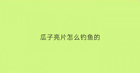 瓜子亮片怎么钓鱼的(瓜子亮片钓鱼教学视频直播)