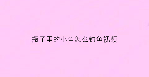 瓶子里的小鱼怎么钓鱼视频(瓶子钓鱼法)