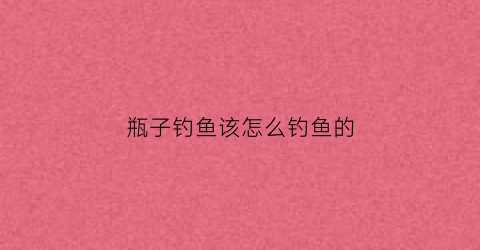 瓶子钓鱼该怎么钓鱼的