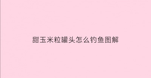 甜玉米粒罐头怎么钓鱼图解