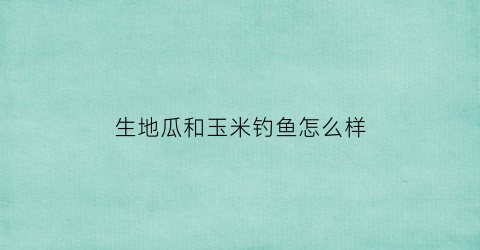 生地瓜和玉米钓鱼怎么样(生地瓜钓鲤鱼效果怎么样)