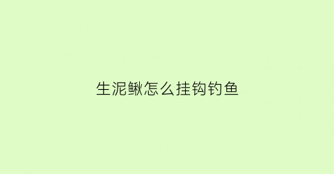 生泥鳅怎么挂钩钓鱼