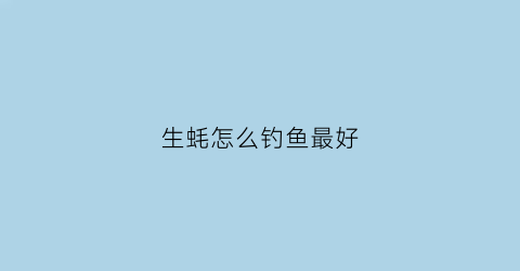 生蚝怎么钓鱼最好(生蚝钓鲤鱼)