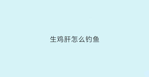 生鸡肝怎么钓鱼(生鸡肝怎么钓鱼视频)