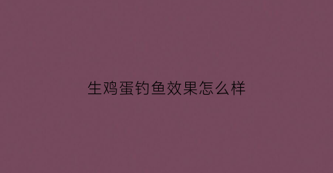 生鸡蛋钓鱼效果怎么样(生鸡蛋开饵钓鲫鱼效果怎么样)