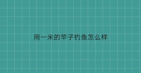 用一米的竿子钓鱼怎么样(一米鱼竿可以上地铁吗)