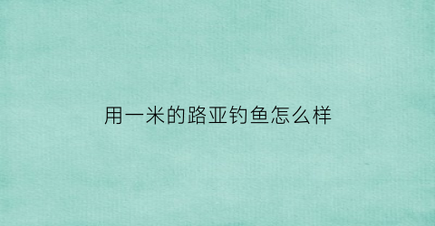 用一米的路亚钓鱼怎么样(15米路亚)