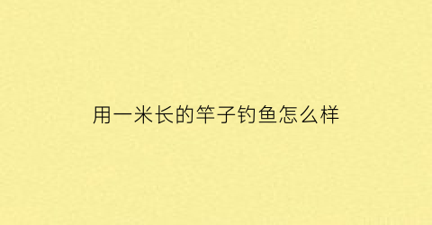 “用一米长的竿子钓鱼怎么样(一米多的鱼竿怎么钓鱼)