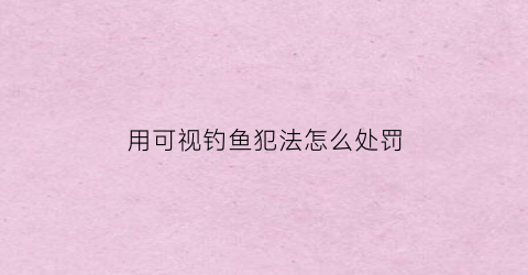 “用可视钓鱼犯法怎么处罚(可视钓鱼需要鱼饵吗)