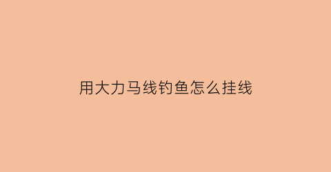 “用大力马线钓鱼怎么挂线(用大力马线钓鱼怎么挂线图解)