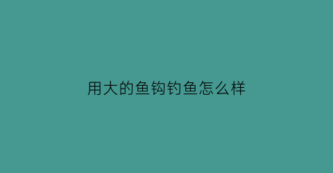 用大的鱼钩钓鱼怎么样