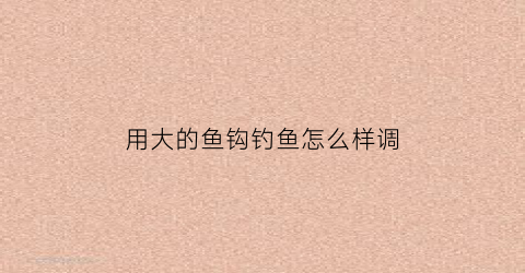用大的鱼钩钓鱼怎么样调(鱼钩超大号)