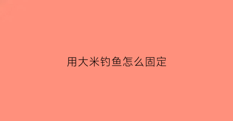 用大米钓鱼怎么固定(大米怎么做钓饵)