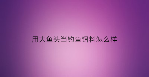 用大鱼头当钓鱼饵料怎么样(用大鱼头当钓鱼饵料怎么样好用吗)