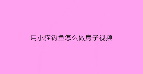 用小猫钓鱼怎么做房子视频(用小猫钓鱼怎么做房子视频教程)