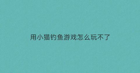 用小猫钓鱼游戏怎么玩不了(小猫钓鱼手机版怎么玩)