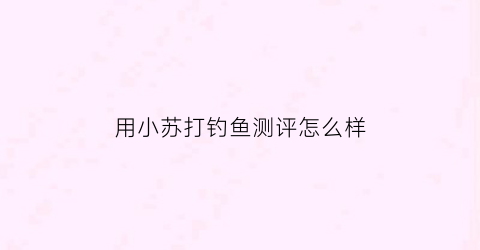 用小苏打钓鱼测评怎么样(小苏打治什么鱼病)